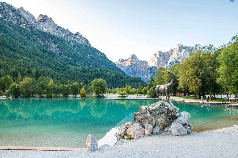 Bor In Bor Luxury Apartment With Sauna & Garden - Kranjska Gora Extérieur photo